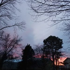 Meet your Posher, Ali